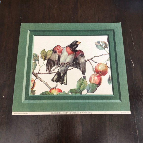 VINTAGE Bird Litho CECIL GOLDING Grosbeak - Picture 2 of 8